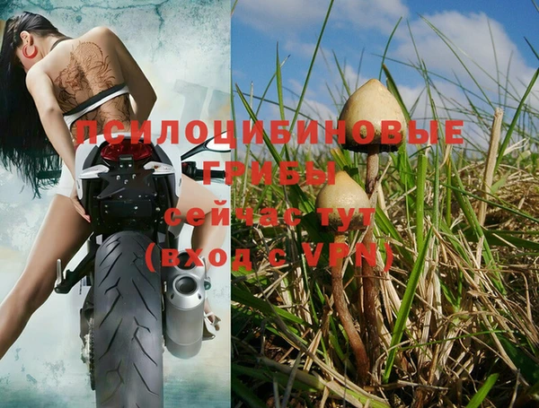бутират Балабаново