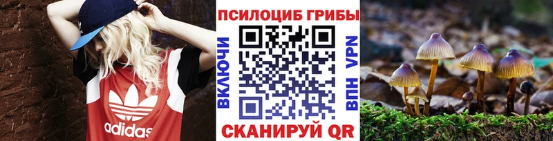 Псилоцибиновые грибы Cubensis  Лесосибирск 